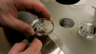 Thousands of Frozen Eggs Potentially Damaged After 2 Clinics Suffer Equipment Malfunctions